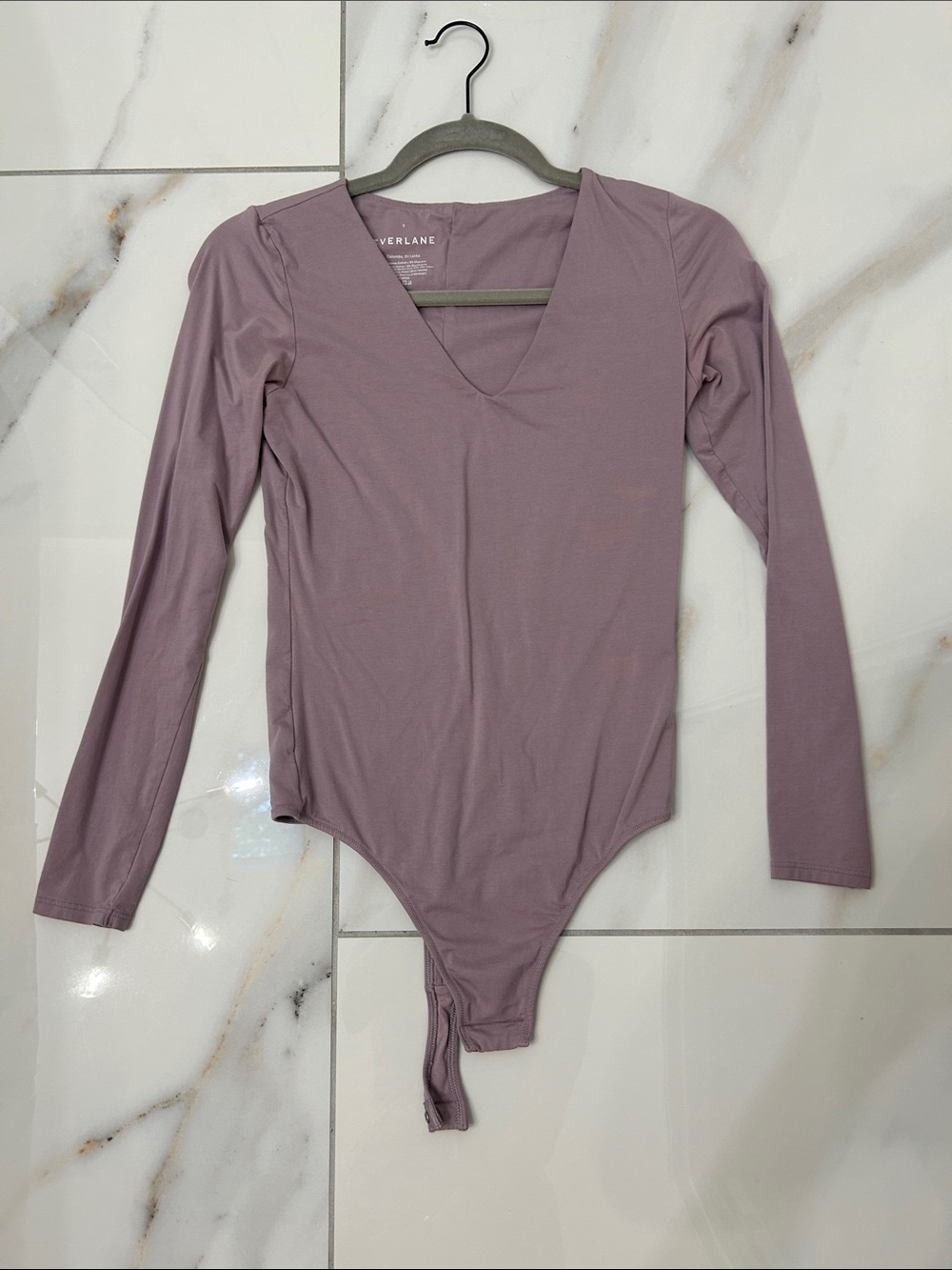 Everlane Dusty Mauve Long-Sleeve V-Neck Bodysuit